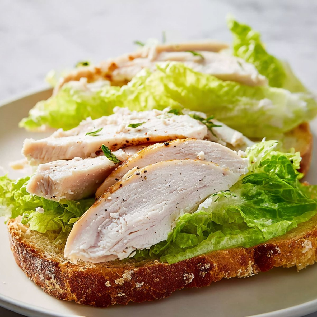 Open-faced sandwich with sliced roasted turkey and fresh lettuce on a slice of bread, served on a plate.